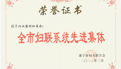 喜報(bào)！興業(yè)集團(tuán)婦委會(huì)榮獲“全市婦聯(lián)系統(tǒng)先進(jìn)集體”榮譽(yù)稱號